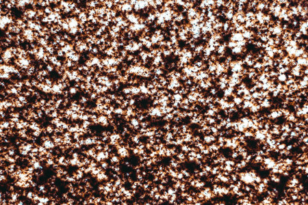 Grunge rusted metal texture