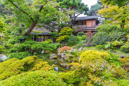 Japanese Tea Garden in Golden Gate Parkのeditorial素材