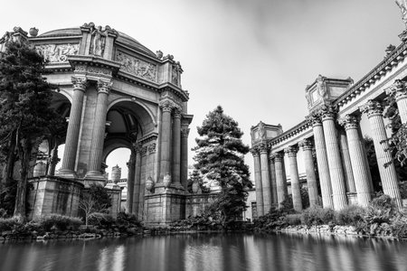 Detailed Palace of Fine Art in Black and Whiteのeditorial素材