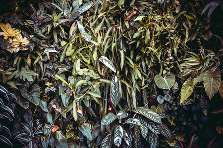 Wall full of vegetation green plants and flowers.