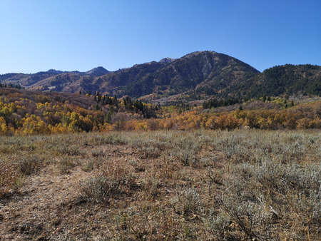 Fall colors landscape at Sardine Peak Trailhead, Ogden, Utah, United States.の写真素材