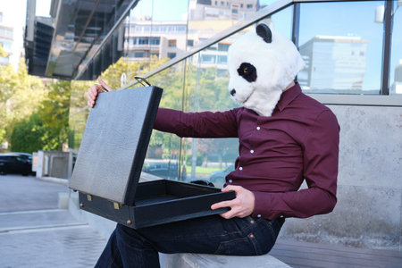 Male robber wearing a panda head mask have stolen a briefcase and is opening it but it is empty. Bizarre thief.の写真素材