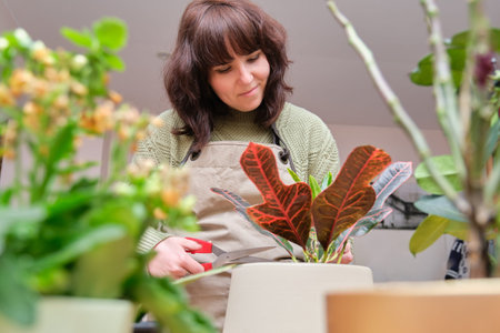 Smiling young woman looking after her plants at home. Gardening indoor and house plants.