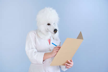 Young woman in a latex dog head mask and white coat writing a medical report on a blue background. Doctor medical veterinary concepts.の写真素材