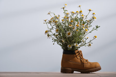 Bouquet of white chamomile daisy flowers in a brown boot, on light blue background. Between bright and dark illumination.の写真素材