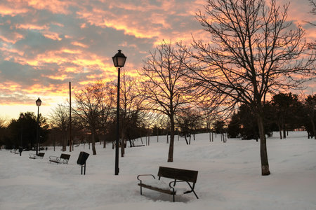 Sunset in a snowy landscape in a park with trees, benches and street lamps.の写真素材