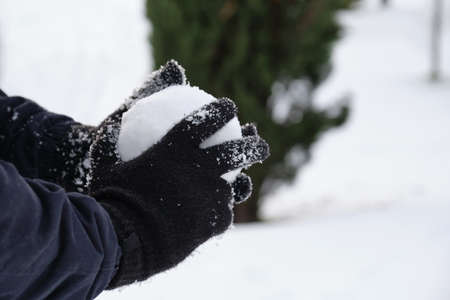 Hands with wool globes making a snowball in a parkの写真素材