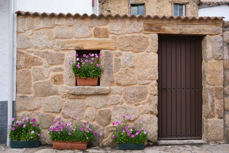 Small old rural house with pink flowers in a town in Spain.の写真素材