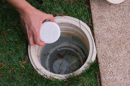Woman hand putting a chlorine tablet into the pool skimmer.の写真素材