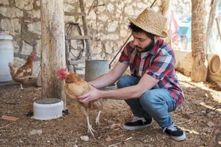 Young man holding a hen in a chicken coop. Farmer working.の写真素材