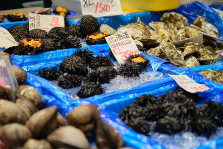 Fresh sea urchin, oysters and clams for sale in Osaka market, Japan.の写真素材