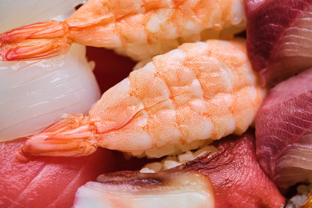 Prawn nigiri on a selection of varied Japanese sushi with octopus, squid, tuna, yellowtail.の写真素材