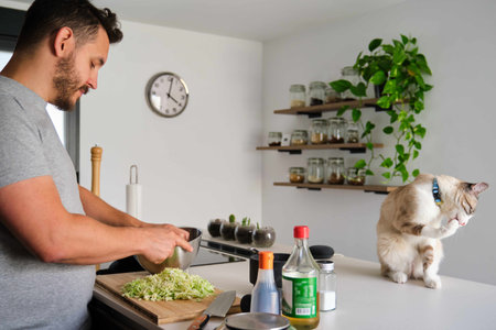 Tabby cat licking his paw while his owner cooking cabbage at kitchen. Vegan cat.の写真素材