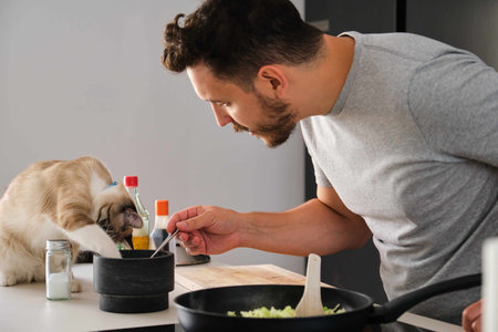 Owner scolding his tabby cat because it want to eat what he is cooking at kitchen. Vegan cat.の写真素材