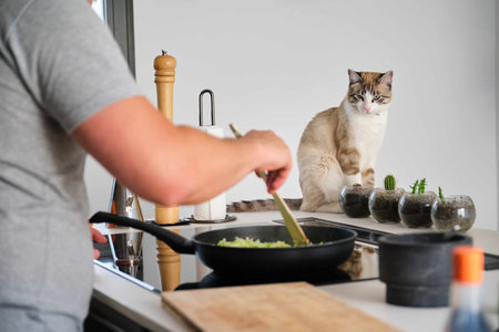 Tabby cat looking at his owner cooking cabbage at kitchen. Vegan cat.の写真素材