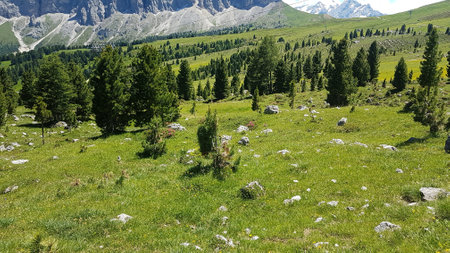 High altitudeのeditorial素材