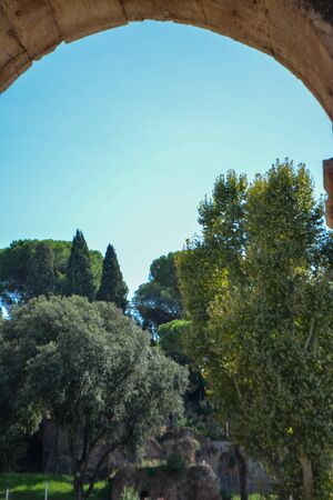 View from Colloseum at sunrise, Italy.の写真素材