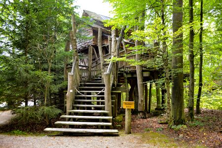 Treehouse./ Treehouse./ Treehouse. in the South of Germany, Tripsdrillの写真素材