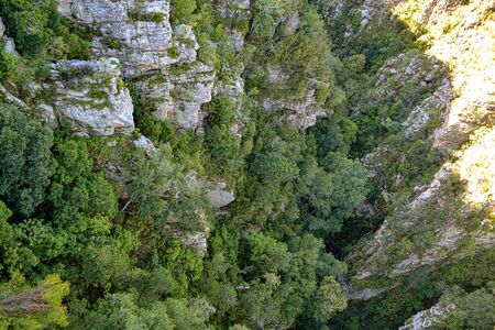 Hills and canyon next to Bloukrans Bridge, border between Eastern Cape and the Western Cape in the Tsitsikamma area of South Africas Garden Route.の写真素材