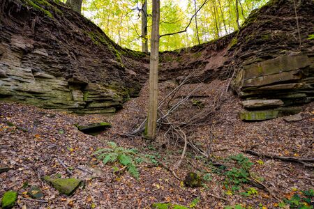 Rocks in the Forest in Freudental, South of Germanyの写真素材