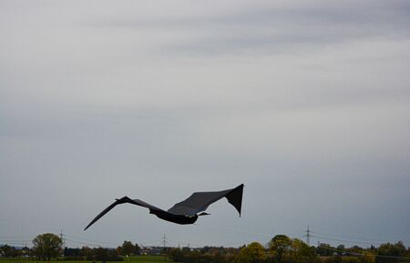 Kite flying in the grey sky in autumn