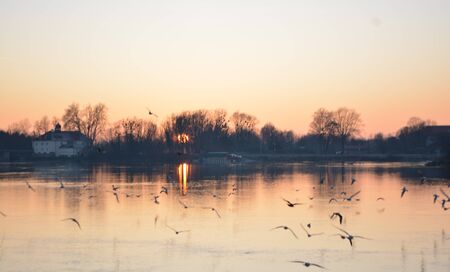 birds flying in the sunset in Schärding, Austriaの写真素材