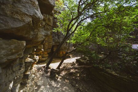 In the rocks - Felsengärten Hessigheim - South of Germany - behind the vignards