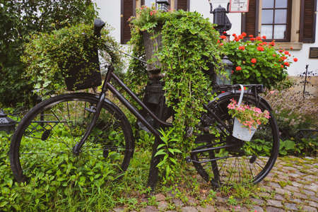 Bicycle with a basket with flowers and leaves, covered with plantsの写真素材