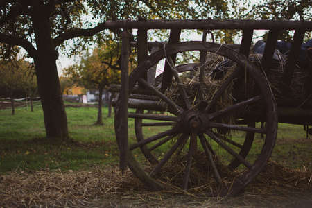 rustic vintage farm with an old chariot dray cart farm wagon in Freudental, South of Germanyの写真素材