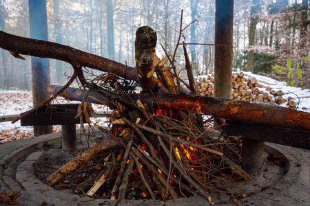 Fire for barbecue in a public fire place for hikers in Germany