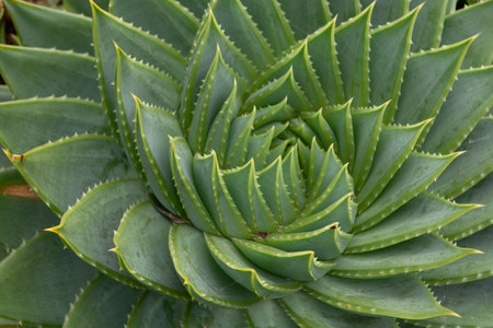 St Michael's Mount, Marazion, Penzance, Cornwall, Englandの写真素材