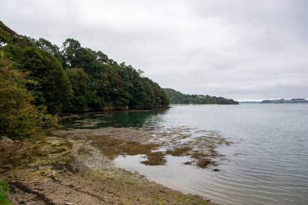 River Fal, Cornwall, UK - August 2023: View from outside Trelissick Garden to Roseland peninsula
