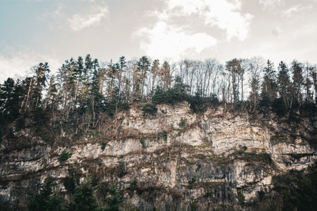 Panorama View with steep mountains and trees on top close to Feldberg, Vorarlberg, Austriaの写真素材