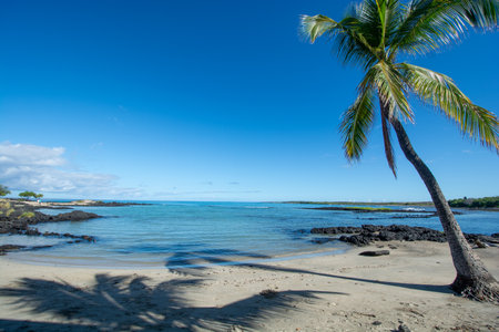 Fishing ponds at Kaloko-Honokohau National Historic Park at Kailua-Kona on the Big Island in Hawaiiの写真素材