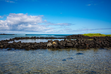 Fishing ponds at Kaloko-Honokohau National Historic Park at Kailua-Kona on the Big Island in Hawaiiの写真素材