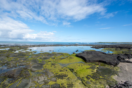 Fishing ponds at Kaloko-Honokohau National Historic Park at Kailua-Kona on the Big Island in Hawaiiの写真素材