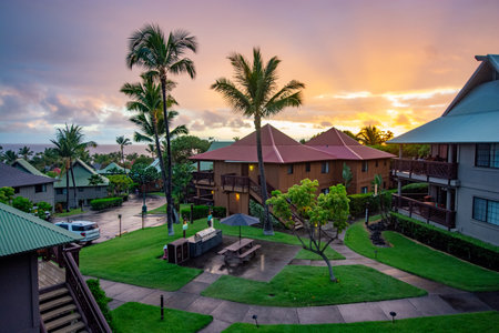 Paradise sunset or sunrise with tropical palm trees. Summer travel holidays vacation getaway colorful concept photo at Big Island, Hawaii, USA.の写真素材