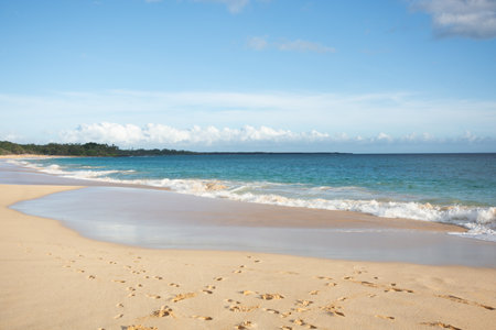 View of the Big beach of Makena state park on Maui, Hawaii in Summer 2024の写真素材