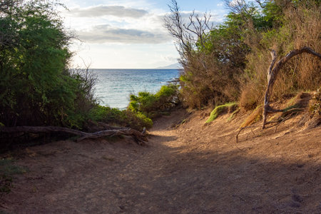 Link between the Big beach and little beach of Makena state park on Maui, Hawaii in Summer 2024の写真素材