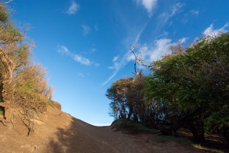 Link between the Big beach and little beach of Makena state park on Maui, Hawaii in Summer 2024の写真素材