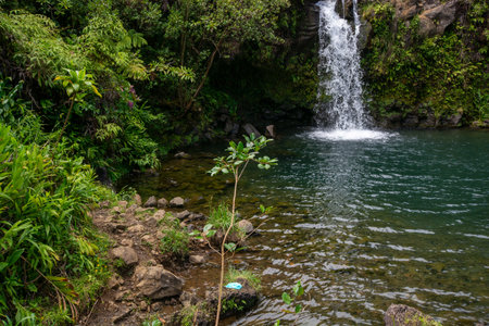 Close-up view of a cascading waterfall along the road to Hana, scenic route- Maui, Hawaii, United States of Americaの写真素材