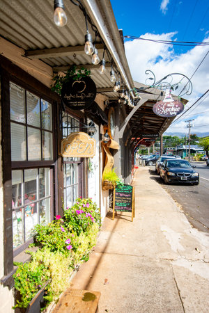 Makawao, Maui - a village full of galleries and known for its cowboys - view of a streetの写真素材