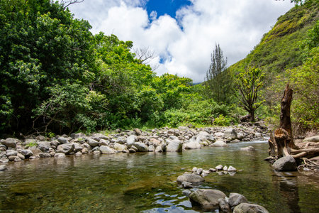 Iao Valley State Park in Maui, Hawaii in summer 2024の写真素材