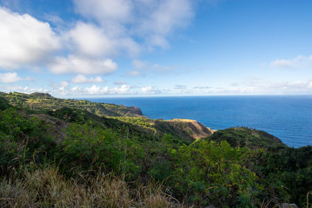 View of the west coast of Maui. Area of Olowalu, Hawaiiの写真素材