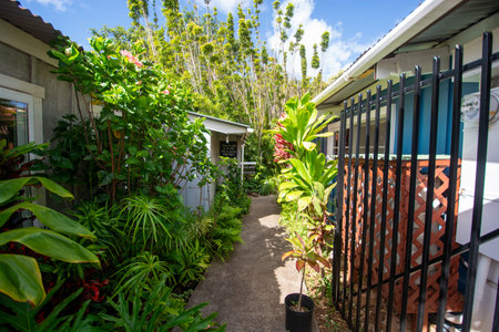 Makawao, Maui - a village full of galleries and known for its cowboys - view of a streetの写真素材
