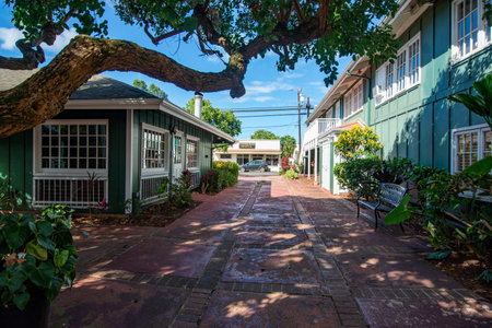 Makawao, Maui - a village full of galleries and known for its cowboys - view of a streetの写真素材