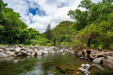 Iao Valley State Park in Maui, Hawaii in summer 2024の写真素材