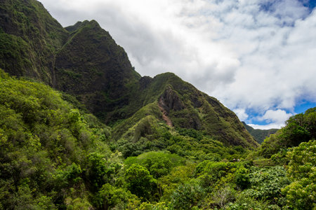 Iao Valley State Park in Maui, Hawaii in summer 2024の写真素材