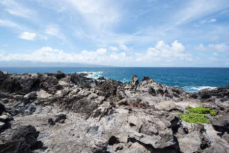 Rugged coastline at the tip of Makaluapuna Point in West Maui, Hawaii - Lava cliffs of Dragon's Point on the Kapalua Coastal Trailの写真素材