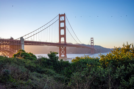 View of Golden Gate Bridge in California, San Francisco, United States.の写真素材